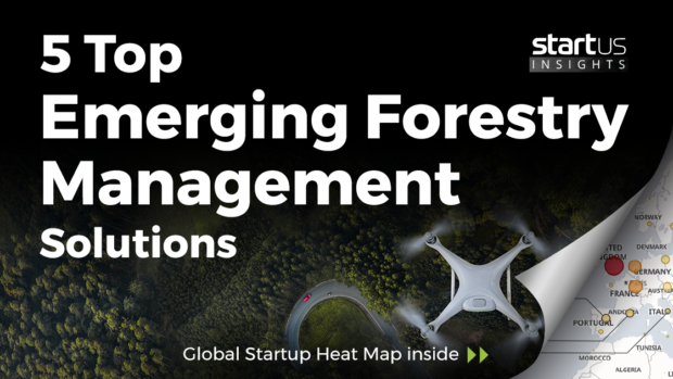 5 Top Emerging Forestry Management Solutions Impacting The Environment