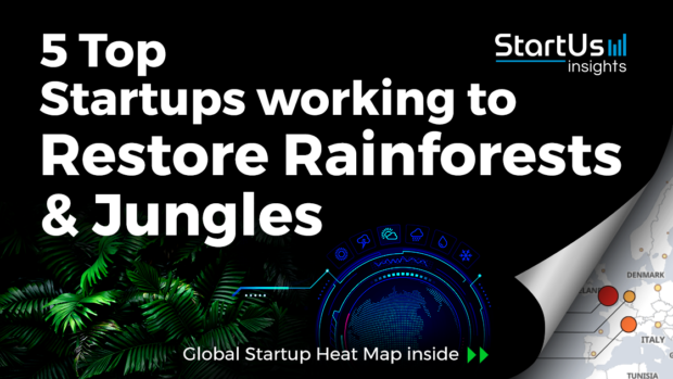 Discover 5 Top Startups working to Restore Rainforests & Jungles