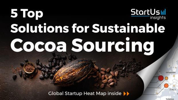 Discover 5 Top Solutions for Sustainable Cocoa Sourcing