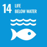 E-WEB-Goal-14-United-Nations-Sustainable-Development-Goals-UN-SDGs
