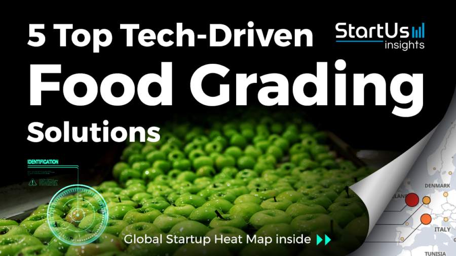 5 Top Tech-Driven Food Grading Solutions