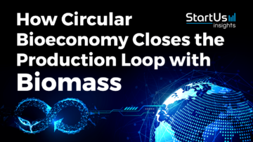 How Circular Bioeconomy Closes the Production Loop with Biomass