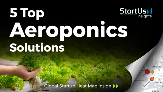 Discover 5 Top Aeroponics Solutions