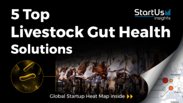 Discover 5 Top Livestock Gut Health Solutions