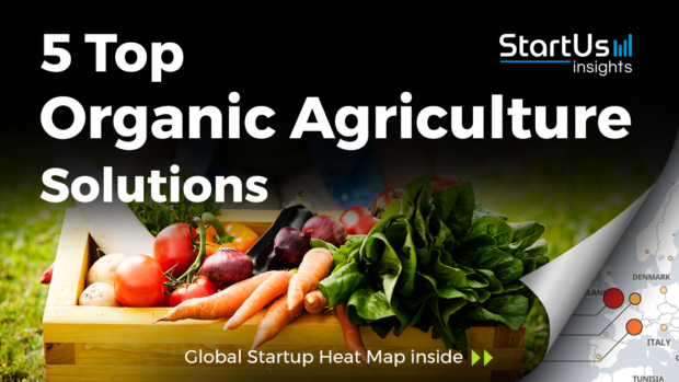 Discover 5 Top Organic Agriculture Solutions
