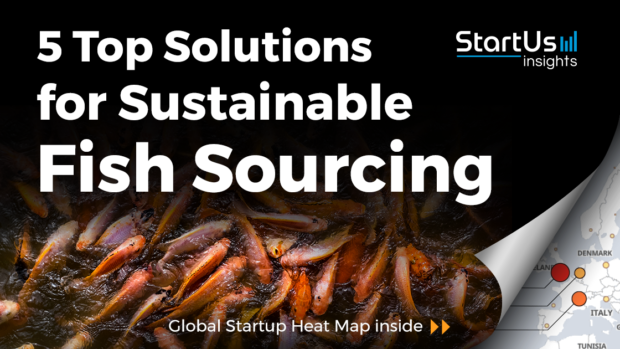 Discover 5 Top Solutions for Sustainable Fish Sourcing