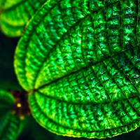 Cover-2-Carbon-Capture-Solutions-2022-Startups-StartUs-Insights-noresize