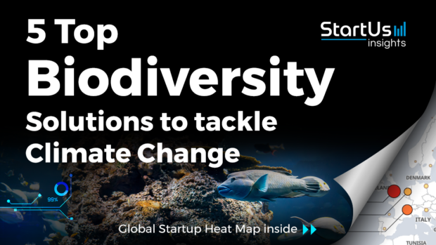 Discover 5 Top Biodiversity Solutions to tackle Climate Change