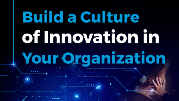 Build a Culture of Innovation in Your Organization