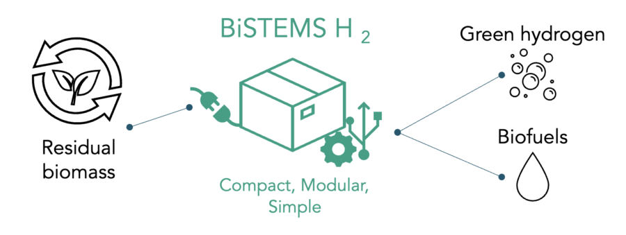 bistems
