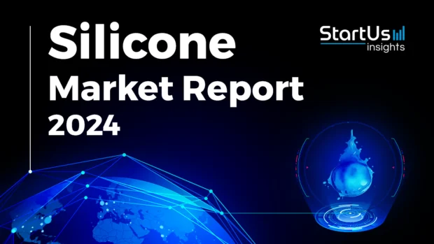 Explore the Silicone Market Report 2024
