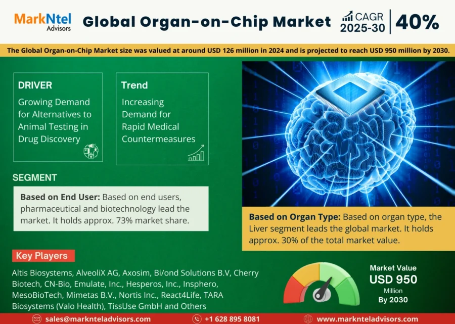 Global human organoids market