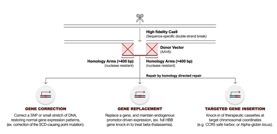 Kamau Therapeutics