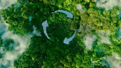 Sustainability Trend